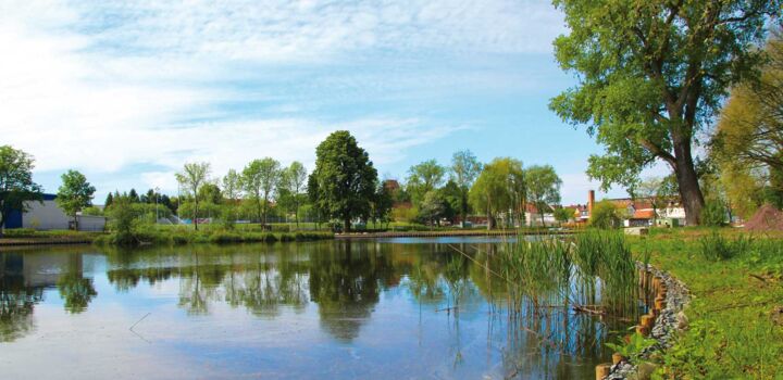 „… von Gärten umarmt“ – 170 Tage Gartensommer in Burg